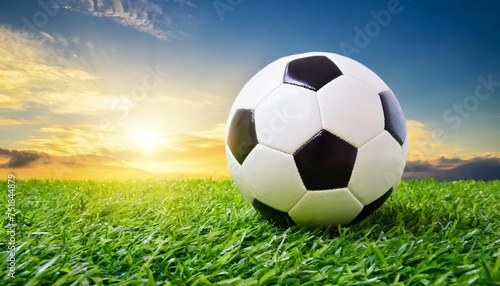 traditional soccer ball on grass field © Deanne