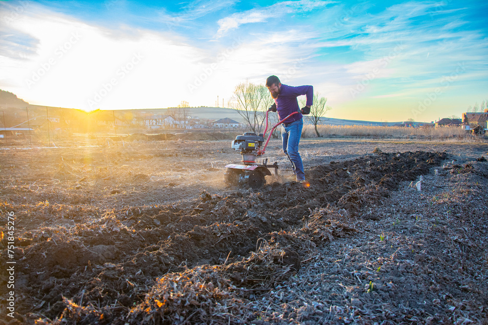 Farmer weeding the field with a tiller. Man loosens the soil cultivator. - obrazy, fototapety, plakaty 