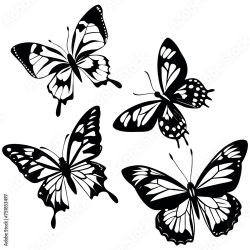 Flying Butterfly Vector Illustrations  Silhouette © Mosharef ID:#6911090