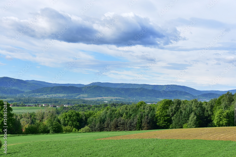 Pasmo górskie, Pogórze Śląskie, Beskid Mały, przyroda, Małopolska, Polska, Europa,