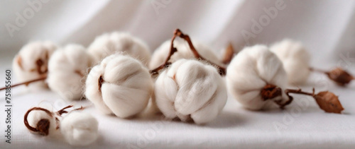 Elegant Cotton Bolls on White Fabric. Soft cotton bolls resting on delicate white cotton fabric, symbolizing natural fibers and purity. photo