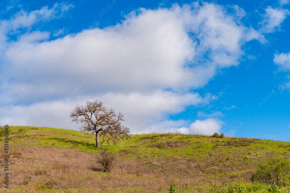 Views mountains, hills, rivers, lush grass and foliage, while hiking during the spring in Malibu Creek State Park. Views mountains, hills, rivers, lush grass and foliage, while hiking during the spring in Malibu Creek State Park.