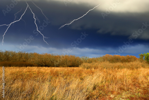 lightning in the field © Pavlo Klymenko