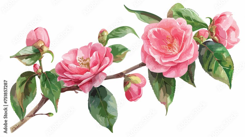blooming Camellia twigs camellia flower
