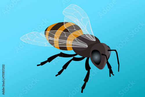 Isometric Honey Bee Flying. People breed honey bees to obtain bee products: wax, honey, poison, propolis, bee bread