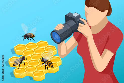 Isometric woman photographs honey bees on honeycombs. People breed honey bees to obtain bee products: wax, honey, poison, propolis, bee bread