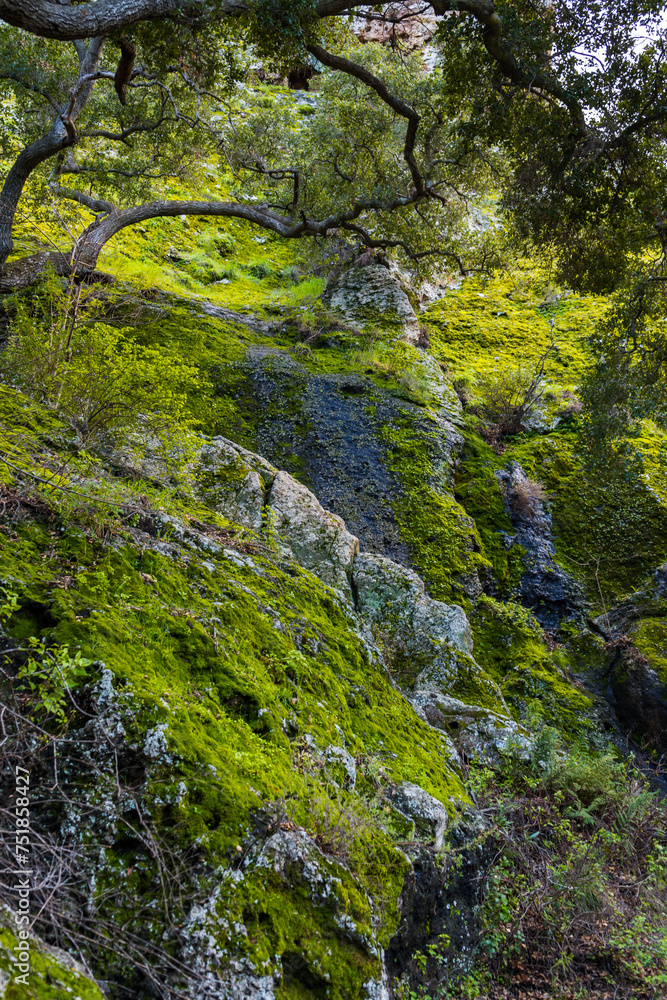 Views mountains, hills, rivers, lush grass and foliage, while hiking during the spring in Malibu Creek State Park. Views mountains, hills, rivers, lush grass and foliage, while hiking during the spring in Malibu Creek State Park.