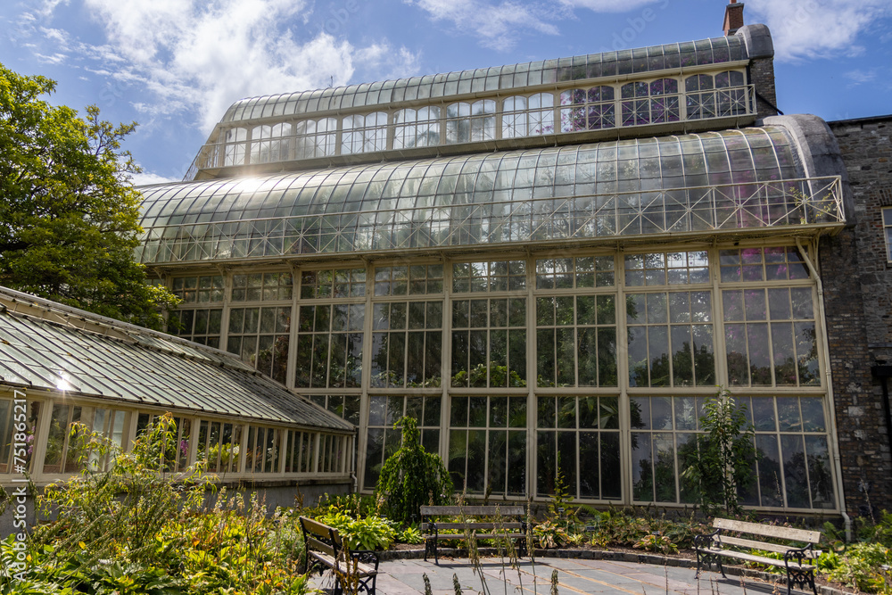 Fototapeta premium Beautiful greenhouse in National Botanic Gardens, Dublin, Ireland. Large area with naturalist sections, formal gardens, an arboretum and a greenhouse with Victorian palms.
