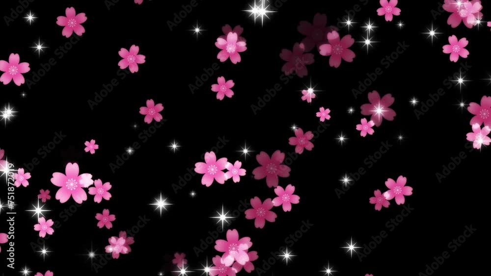 cherry blossom loop background material cherry blossom loop background material