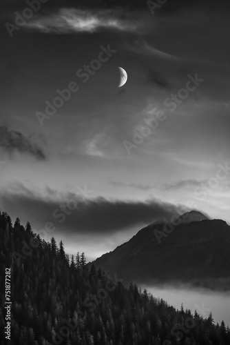 Forested hills in twilight with crescent moon © JeremyWoodPhoto