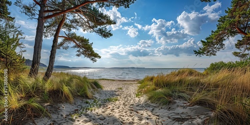 Fototapeta Naklejka Na Ścianę i Meble -  Landscape of the Baltic coast