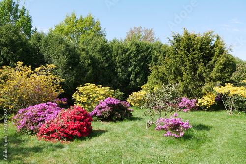 Rhododendrongarten und Azaleengarten im Schlossgarten Schloss Königshain photo