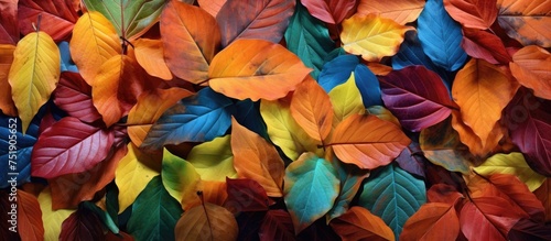 A variety of vibrant leaves in multiple colors are neatly arranged on a table, showcasing their beauty and diversity. Each leaf has unique hues and shapes, creating a visually appealing display.
