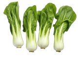 Set of bok choy isolated on transparent background, transparency image, removed background