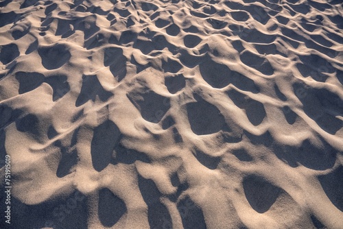 西日を浴びて輝く砂紋の情景
