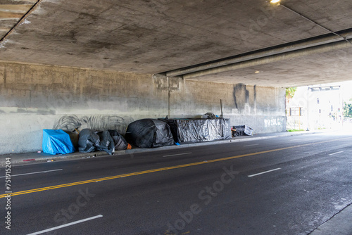 A homeless encampment under a freeway overpass in Los Angeles California USA