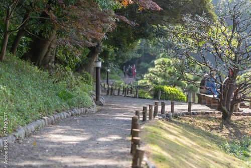 empty path surrouded with trees of kiyosumi japanese park in tokyo photo