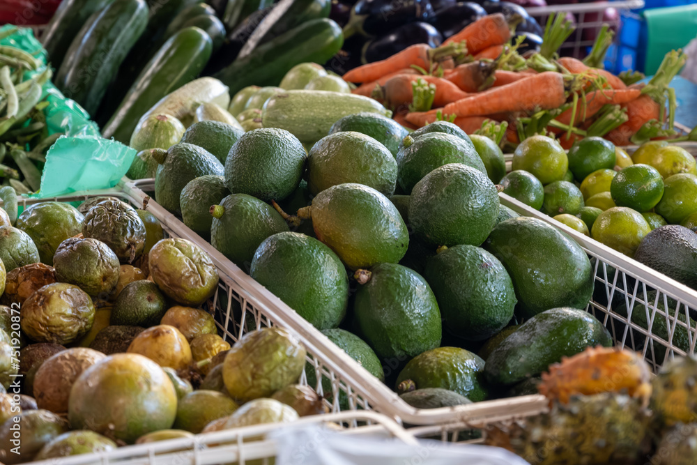 Fresh ripe green avocados, tropical fruits and vegetables on farmers market on Fuerteventura, Canary islands, Spain Fresh ripe green avocados, tropical fruits and vegetables on farmers market on Fuerteventura, Canary islands, Spain