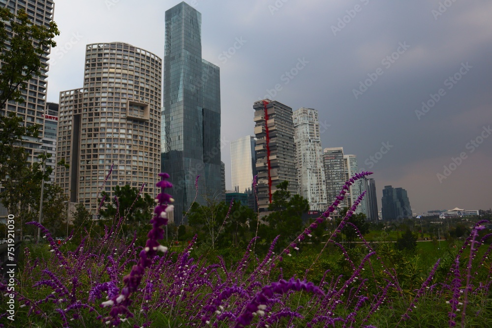 Fototapeta premium Mexico City Santa Fe