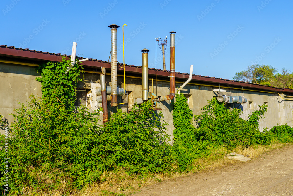 wall covered in vines and pipes