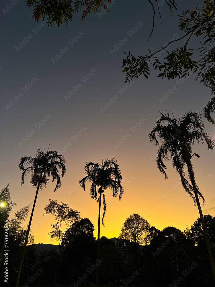 Sunset background with palm trees and colorful sky. Medellin, Antioquia, Colombia Sunset background with palm trees and colorful sky. Medellin, Antioquia, Colombia