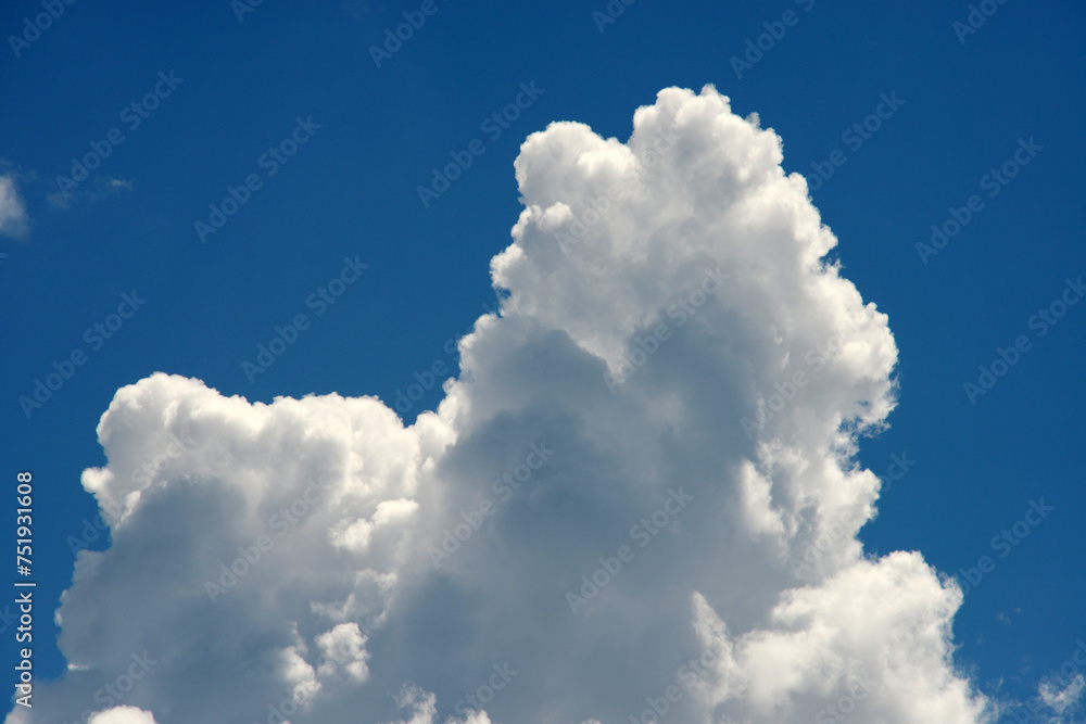 夏雲 積乱雲 夏雲 積乱雲