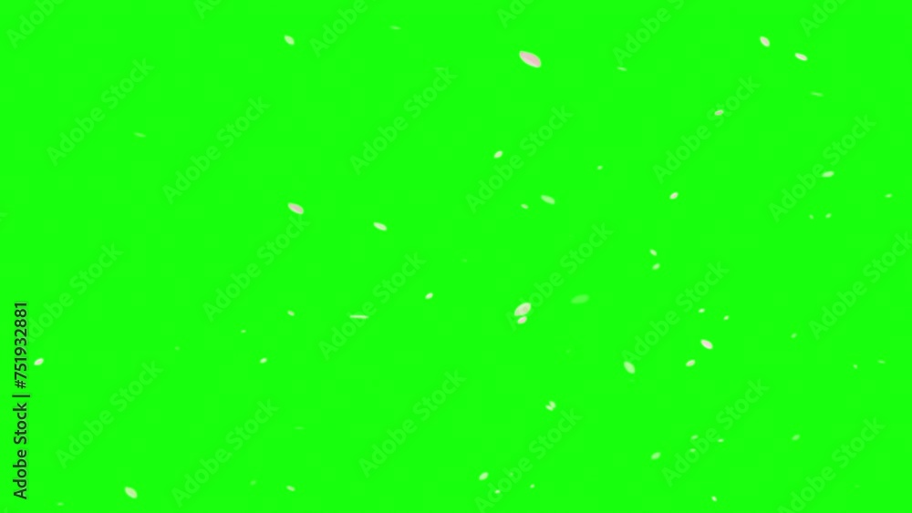 花びらが舞う動画 花びらが舞う動画
