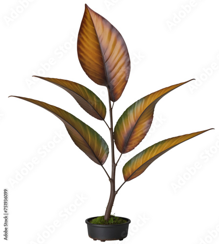 brown leaf tree