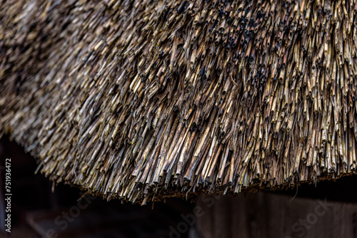 Traditional thatched roof houses of Miyama village in Kyoto Prefecture in Japan, made using kayabuki grass roofing technique, a UNESCO Intangible Cultural Heritage on 17 February 2024 photo