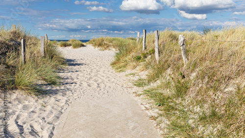 Weg mit Z  unen durch D  nen mit Strandhafer zum Strand an der Ostsee mit blauem Himmel mit Wolken bei Heiligenhafen  Schleswig-Holstein