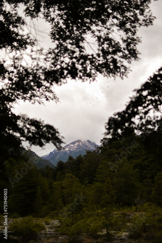 Фотография Explora la majestuosidad de las montañas de la Patagonia Argentina, donde la roca se encuentra con el verde exuberante de la vegetación