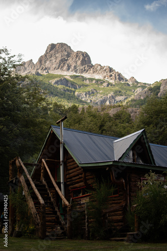 Εκτύπωση καμβά Explora la majestuosidad de las montañas de la Patagonia Argentina, donde la roca se encuentra con el verde exuberante de la vegetación