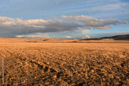 Rows of low, yellowed grass in a flat, endless steppe at the foot of mountain ranges in the autumn evening before sunset.