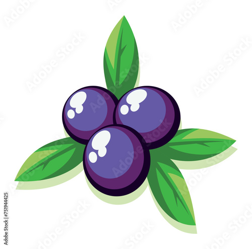Vector illustration of Acai fruit in graphic style. Editable artwork.