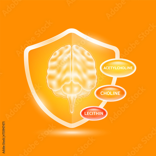 Brain human organ in orange shield glass with Lecithin, Choline and Acetylcholine. Supplement nutrients necessary for health nerve cell. Medical health care. Vector EPS10.