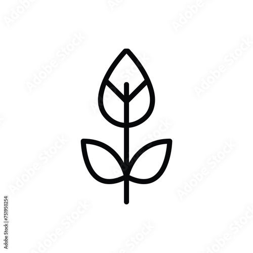 Flower sprout icon line design template isolated