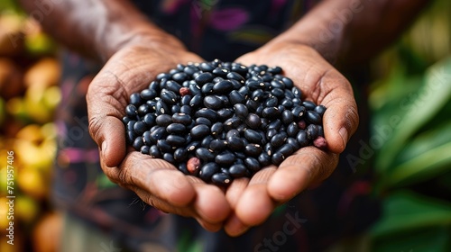 Black Beans from the Andes Mountains, Colombia