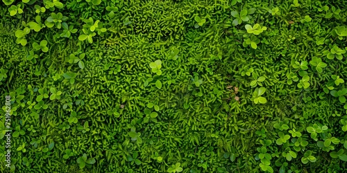 Lush Greenery: A Closer Look