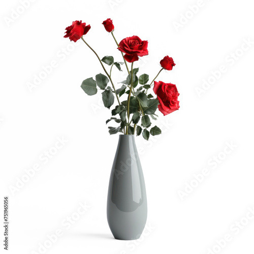 vase with red roses .Wide professional shot. on transparency background PNG
