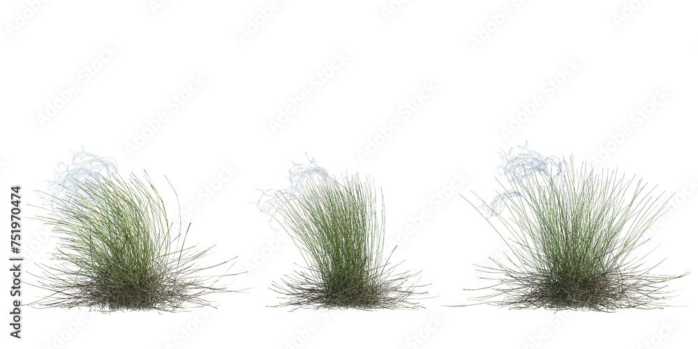 3d Render Brush Tree Isolated on white 3d Render Brush Tree Isolated on white
