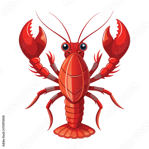 Lobster illustration on White Background