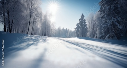  Whispers of winter's serenity © vivekFx