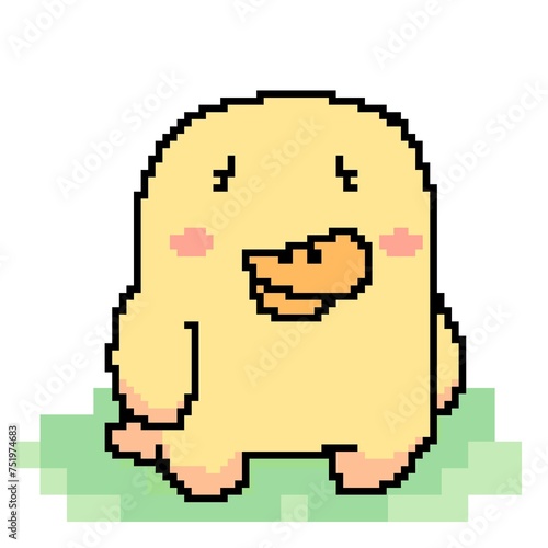 Duck pixel