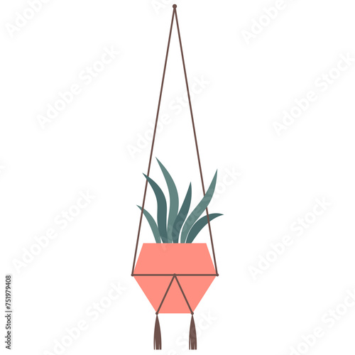 Hanging Plant Vector