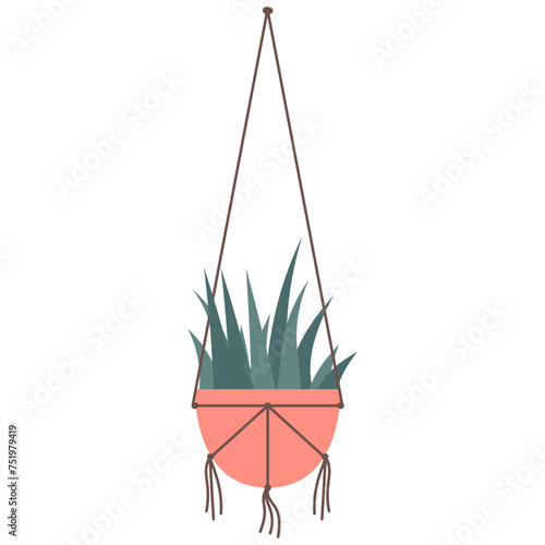 Hanging Plant Vector