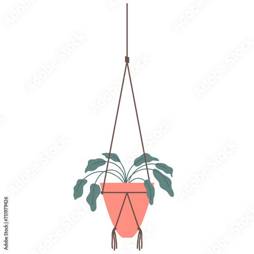 Hanging Plant Vector