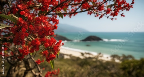  Scenic beauty - Red flowers and tranquil ocean view