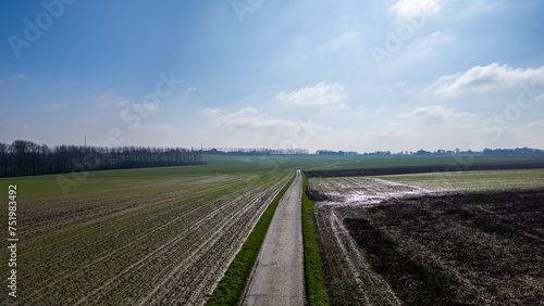 This aerial image captures a long  straight country road cutting through diverse agricultural fields. On one side  the field shows the green of early crop growth  while the other side is a darker