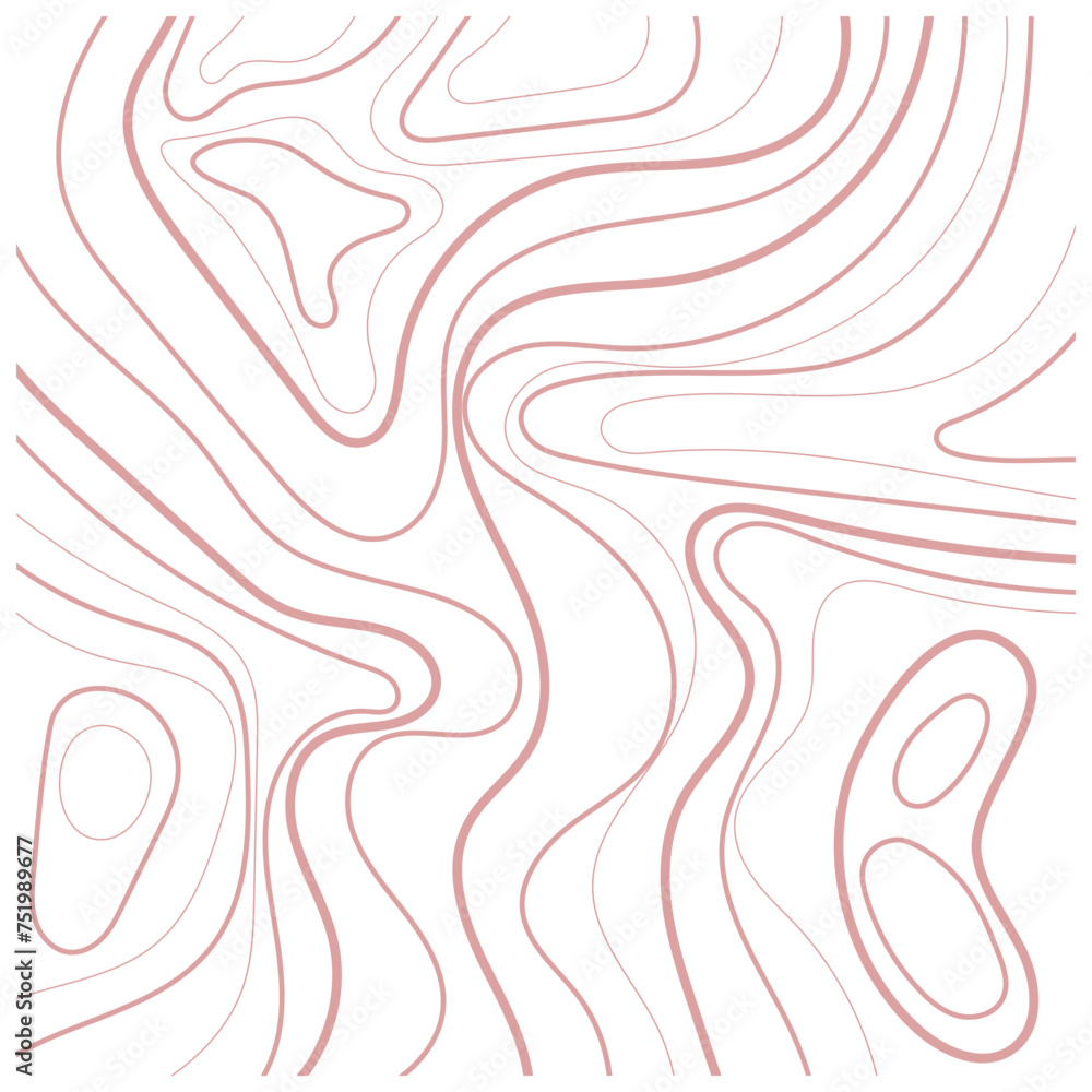 Fototapeta premium Topography Pattern