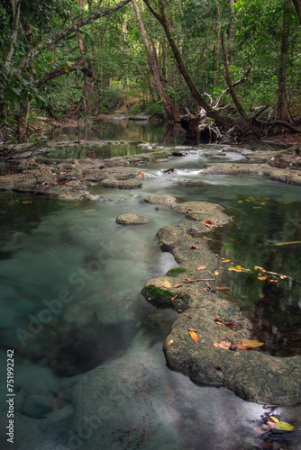 Stream winding through the tropical forest of Moyo island, Sumbawa, Indonesia photo